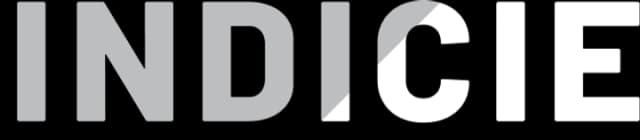 Indicie logo